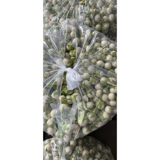 CÀ PHÁO MUỐI XỔI