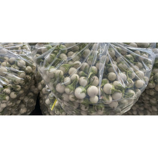 CÀ PHÁO MUỐI XỔI