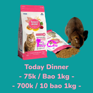 Hạt khô cho mèo Today Dinner Túi 1kg