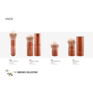 CỌ PHỦ BỎ TÚI VACOSI- M21