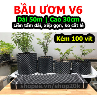 Cuộn 50m bầu ươm cây v6 cao 30cm thông minh v7