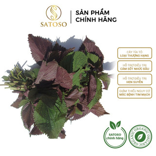 Cây Tía Tô khô giúp giảm cảm, sốt thương hiệu SATOSO gói 1kg