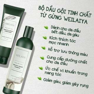 Set Dầu Gội Xả Weilaiya Ginger