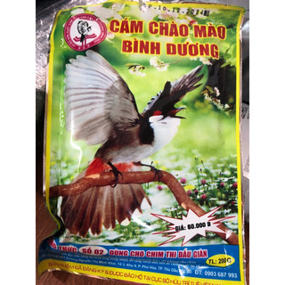 Cám chào mào bình dương