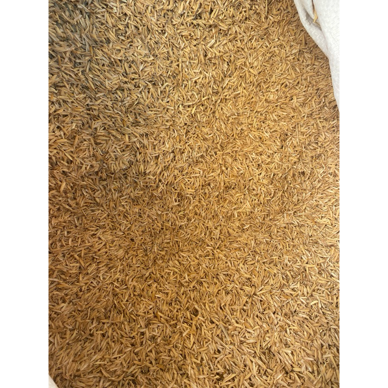 10kg trấu sạch