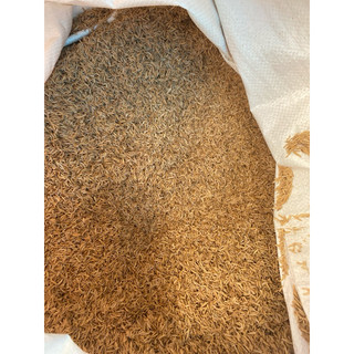 10kg trấu sạch