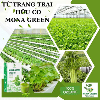 Combo 3 nước uống giảm mụn MONA GREEN