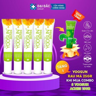 Combo 5 Hộp Kem Ngừa Mụn Yoosun Acnes