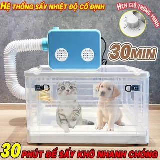 Máy sấy mèo Lông mượt, khô ráo và không bị rối. lồng sấy chó mèo lồng sấy cho mèo máy sấy cho chó máy sấy chó mèo