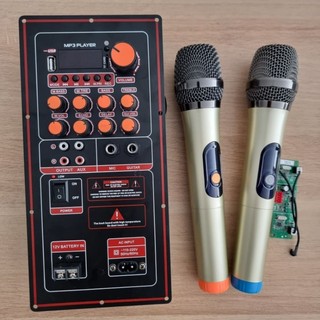 Combo mạch kèm micro loa kéo, ráp loa 3 tấc, 4 tấc