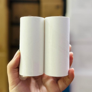 Set 2 lõi thay thế cây lăn bụi, lông