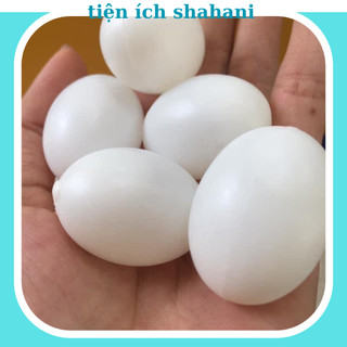 Trứng đặc cho chim bô câu, trứng chim bô câu già, trứng bồ câu bằng nhưa