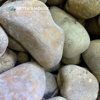 Sỏi đá trang trí cây cảnh, sen đá và hồ cá