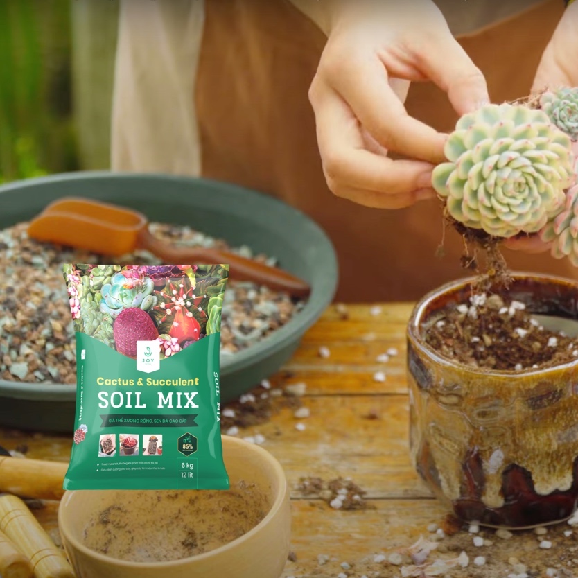 Đất trồng sen đá 85% đá - SOIL MIX  - Nguyên bao, hàng chính hãng - Phát rễ nhanh, tưới thoải mái // Bloom Garden