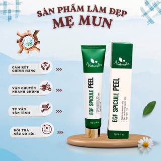 Pell da spicule Vi tảo với thành phần chính là Spicule