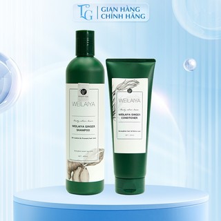 Cặp dầu gội xả gừng trắng kích mọc tóc, giảm rụng tóc, ngăn ngừa gàu Weilaiya Ginger