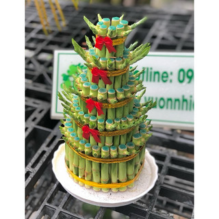 Chậu Trúc Phú Quý 5 tầng