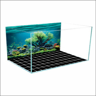 Tranh Decal dán Hồ Cá 3D Mẫu Mới ( Tranh Lưng )_TS 43