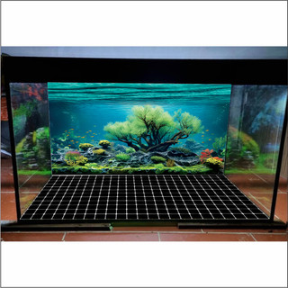 Tranh Decal dán Hồ Cá 3D Mẫu Mới ( Tranh Lưng )_TS 43