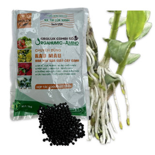 Phân bón gốc humic amino usa,ra rễ mạnh vọt đọt khỏe.