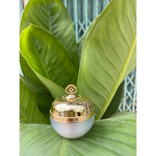 Hủ đựng kem face 10g(hủ hậu)