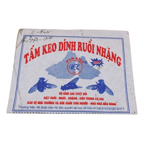 SET 50 Tấm keo dính ruồi, miếng keo dính ruồi siêu dính, nhiều keo