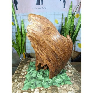 lũa ngọc am đỏ
