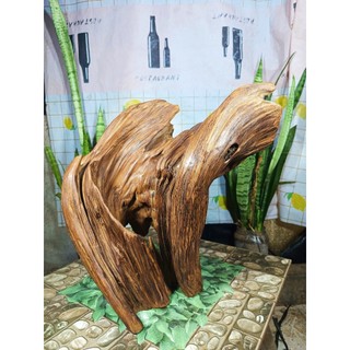 lũa ngọc am đỏ