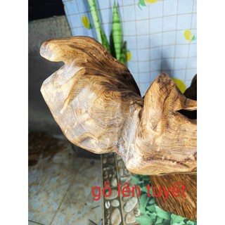lũa ngọc am đỏ