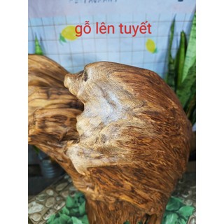 lũa ngọc am đỏ