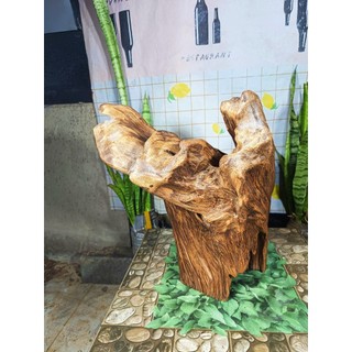 lũa ngọc am đỏ