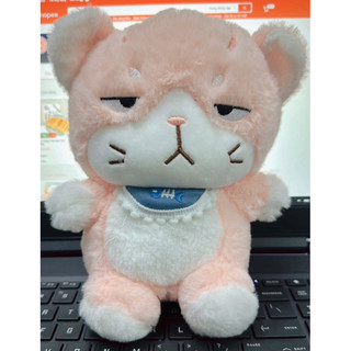 Gấu bông nhỏ các mẫu 20cm