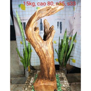 Lũa ngọc am đỏ hà giang