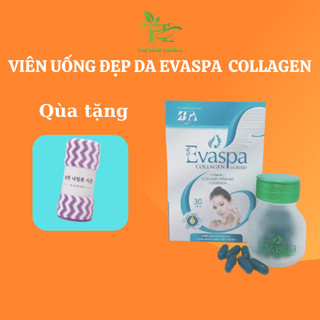 Viên uống trắng da Evaspa Collagen Cá Tuyết sáng mịn mờ thâm nám ,hộp 30 viên Tuệ Linh Garden