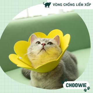Vòng chống liếm dạng xốp hình hoa cho chó mèo || Phụ kiện chó mèo