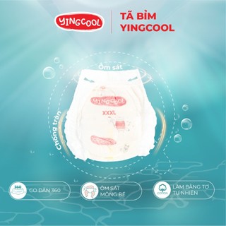 (TẶNG XE ĐẨY GẤP GON) KHI MUA 4 BỈM YINGCOOL