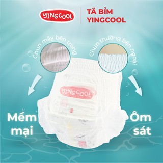 (TẶNG XE ĐẨY GẤP GON) KHI MUA 4 BỈM YINGCOOL