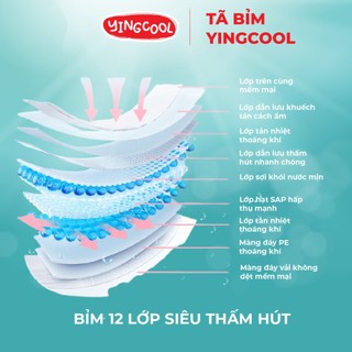 (TẶNG XE ĐẨY GẤP GON) KHI MUA 4 BỈM YINGCOOL