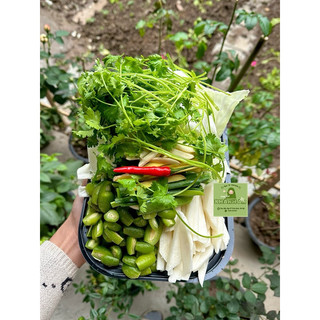 Nhót + chẳm chéo | nông sản khánh an