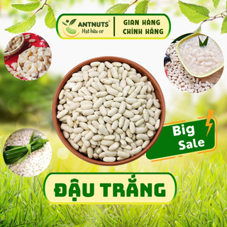 Đậu trắng to, đỗ trắng to, đậu thận trắng, đậu tây thơm bở nấu cháo, nấu chè, làm mứt...