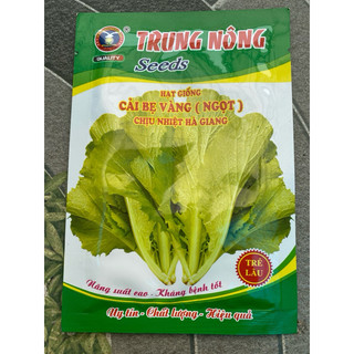 Hạt giống Cải bẹ vàng