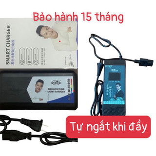 Sạc ắc quy,sạc nhanh xe điện 48v,60v chống phồng bình, sạc tự ngắt khi đầy (xe 133s, pega, vepa..xe 4 bình ,5 bình