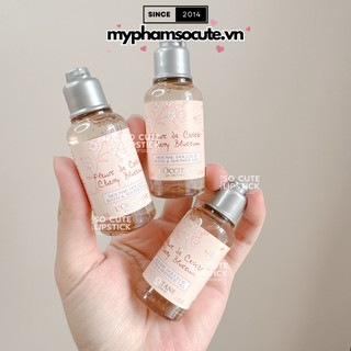 Combo Sữa tắm và sữa dưỡng thể hương hoa Anh Đào L'Occitane Cherry Blossom 35ml