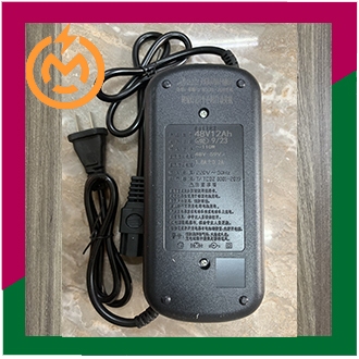 Cục sạc xe đạp điện, xe điện 48V-12Ah (New 100%) | BigBuy360 - bigbuy360.vn