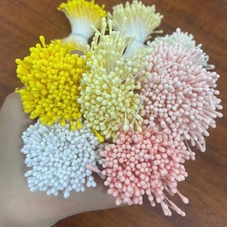 Nhụy hoa - nhụy làm hoa đào