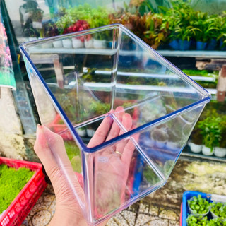 Hồ nhựa mini nuôi cá 15x12x15 - betta , guppy , cá thủy sinh - cao cấp siêu trong