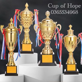 In ấn theo yêu cầu cúp vàng mới kỷ niệm chương vàng lưu niệm cúp bóng đá thể thao cup lưu niệm pha lê cờ giá rẻ xịn