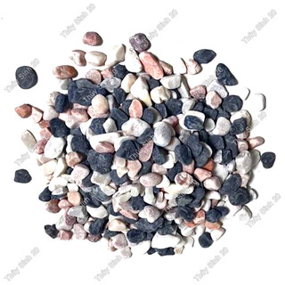 100g Sỏi 3 màu thiên nhiên trang trí bể cá cảnh tiểu cảnh