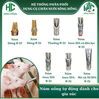 Núm uống tự động cho heo các loại