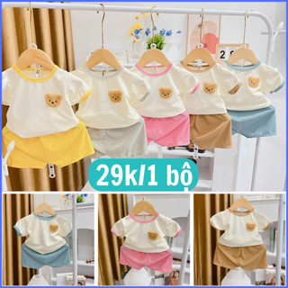 Set 5 bộ tăm lạnh cộc tay thêu gấu. Đồ bộ cho bé trai bé gái 6-16kg